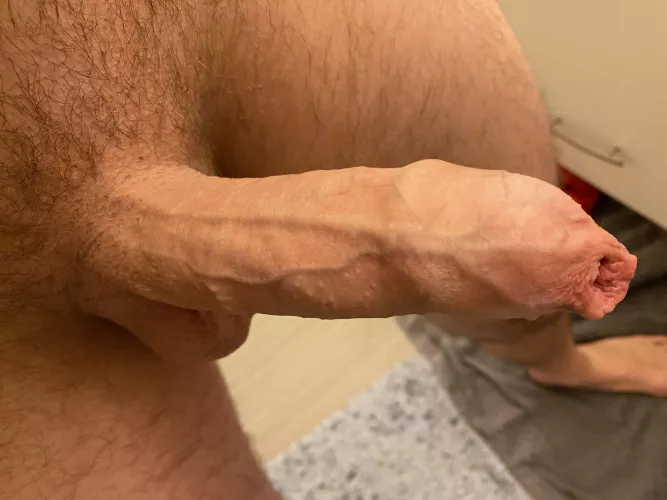 One long covered cock