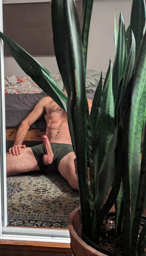 One snake is not like the rest