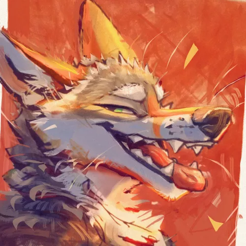 Pointy Puppy [_latrans]