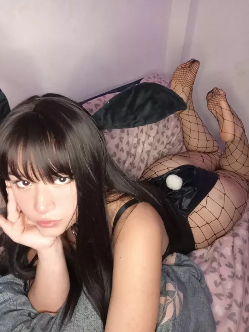 This little bunny wants to play