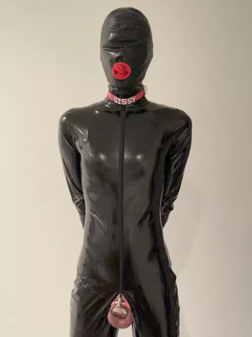 Turned into a free-use doll