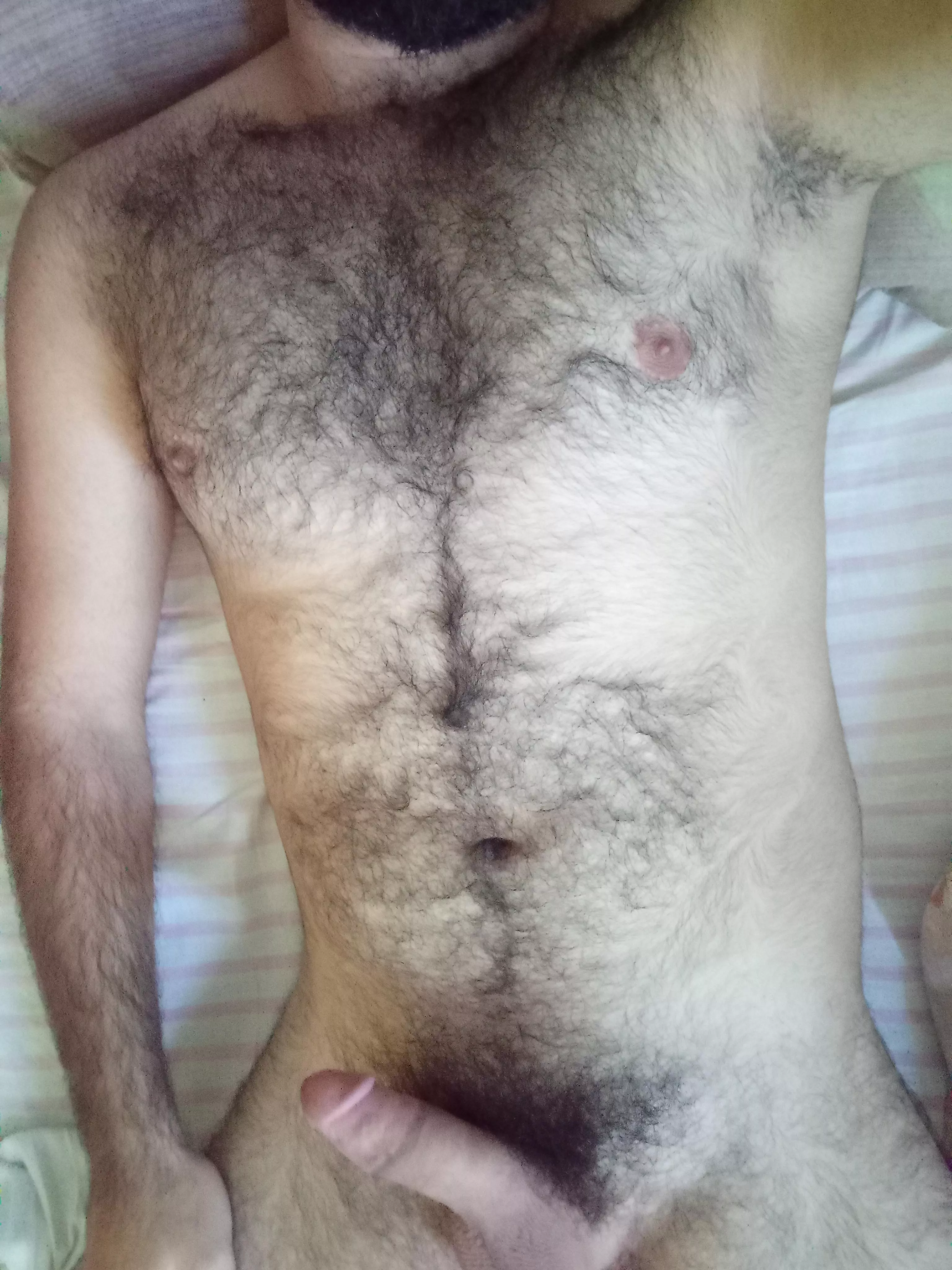 Any bear like to share me my bed?