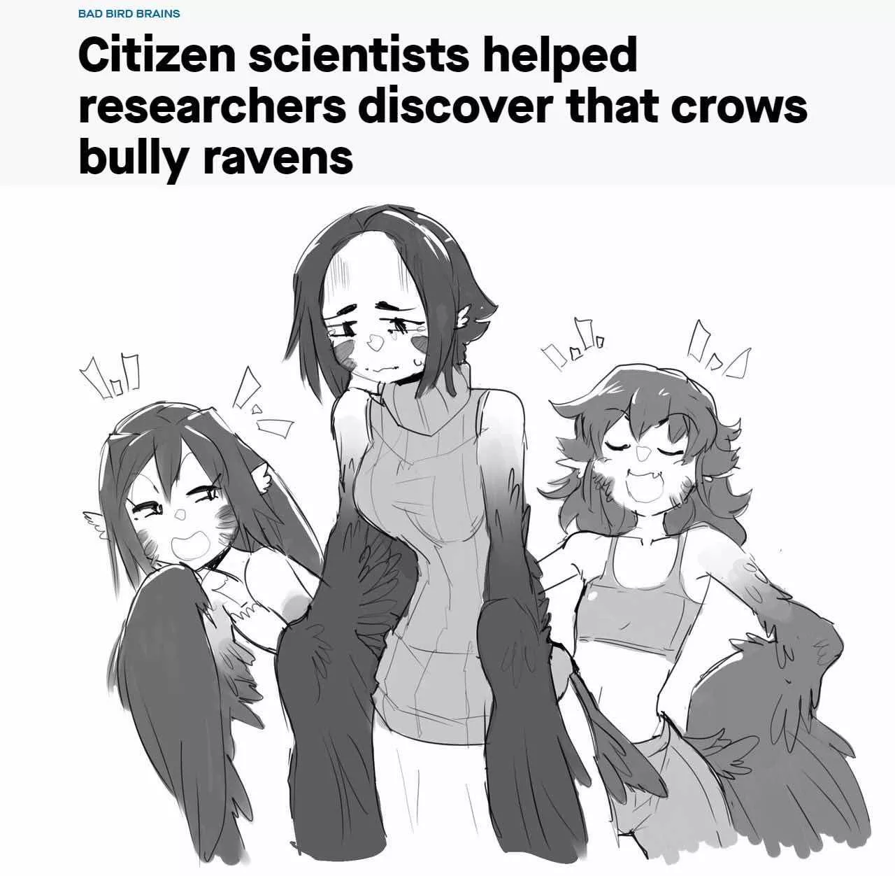 Cheeky crows! Need bird correction...! 💢