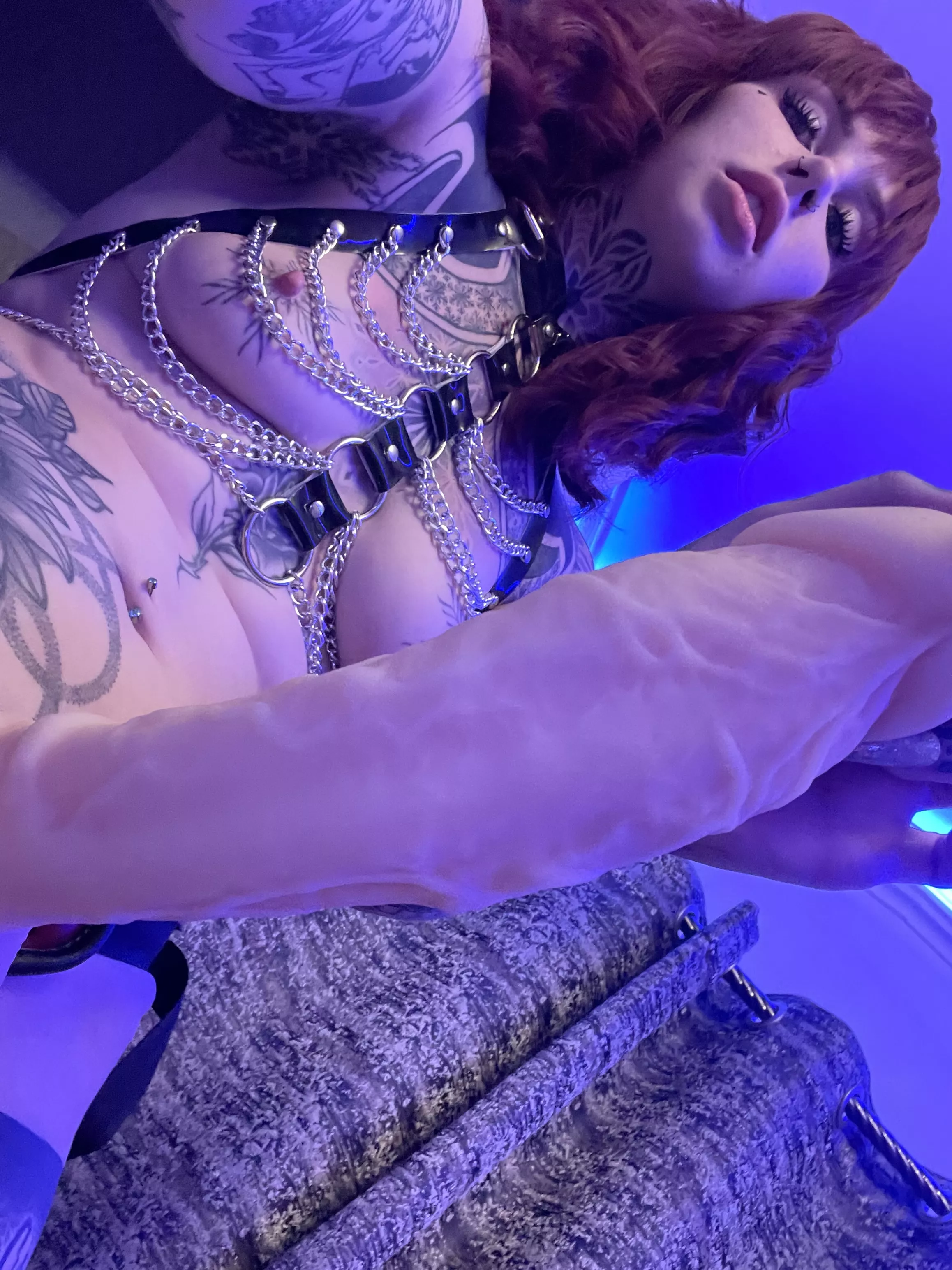 Could u handle me pegging u every day?