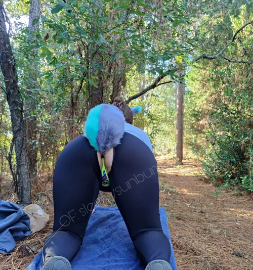 Feeling foxy in the woods