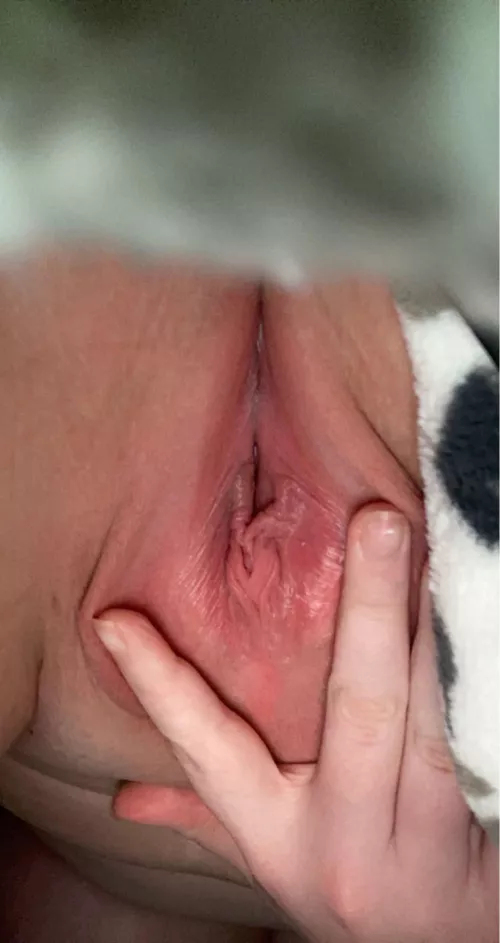 How's this pussy for ya? ;)