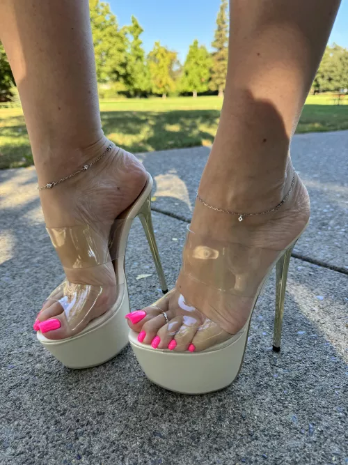 Just bought new mules today