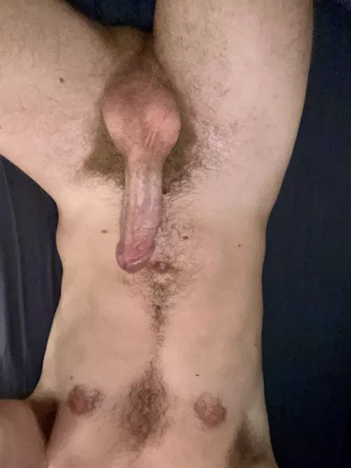 Morning wood anyone?