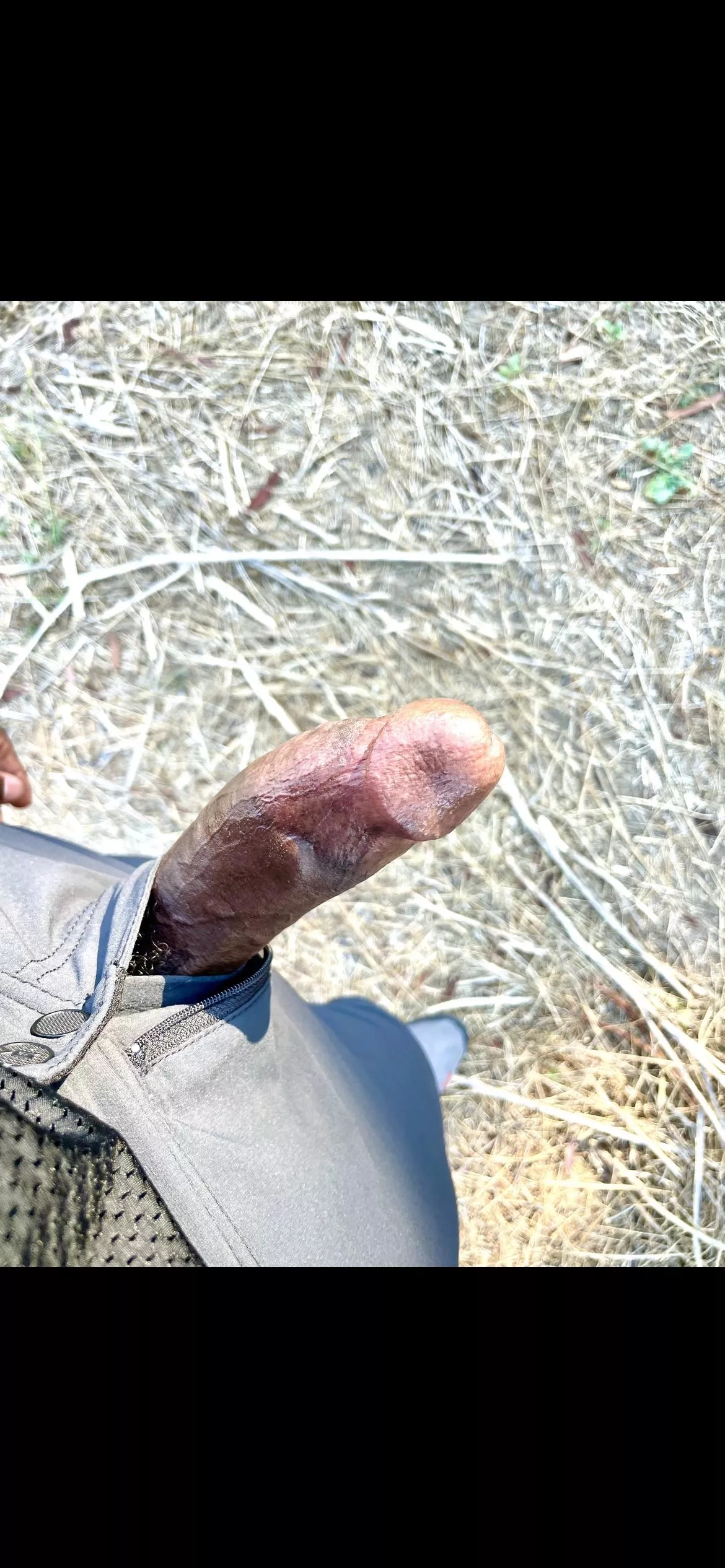 Needed to let him breathe on the trail