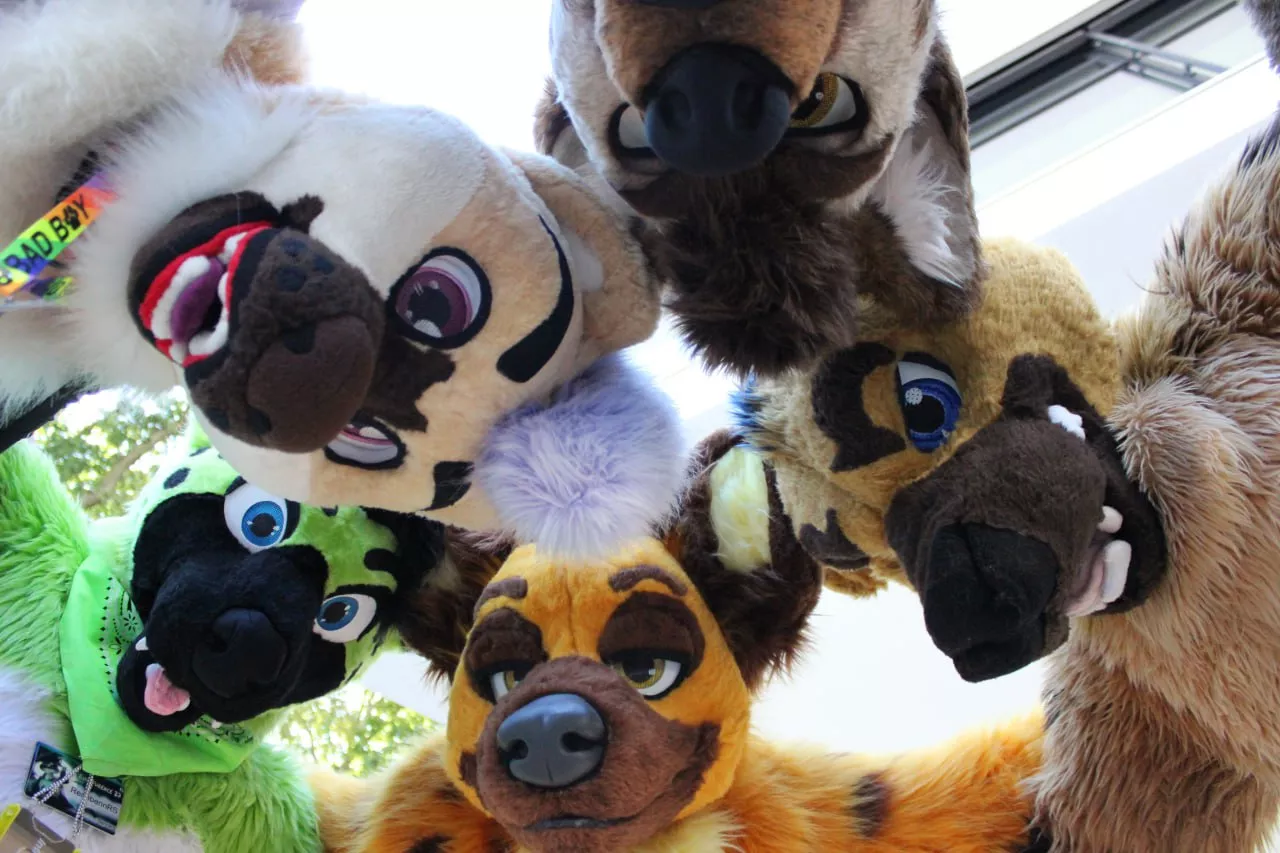 POV: You've come to the wrong neighbourhood [Hyena-Meetup at Eurofurence2023]