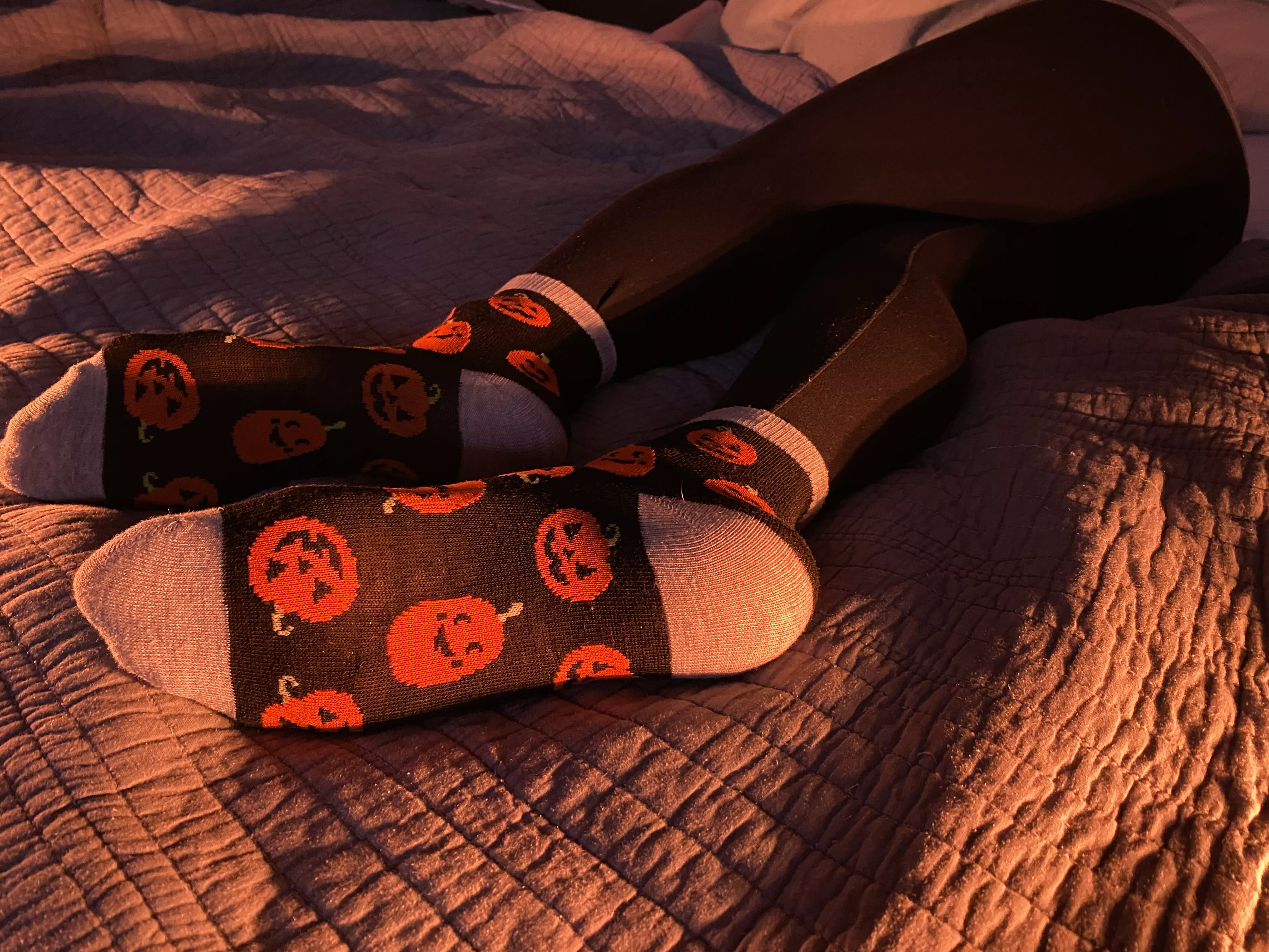 Pumpkin spice and everything nice