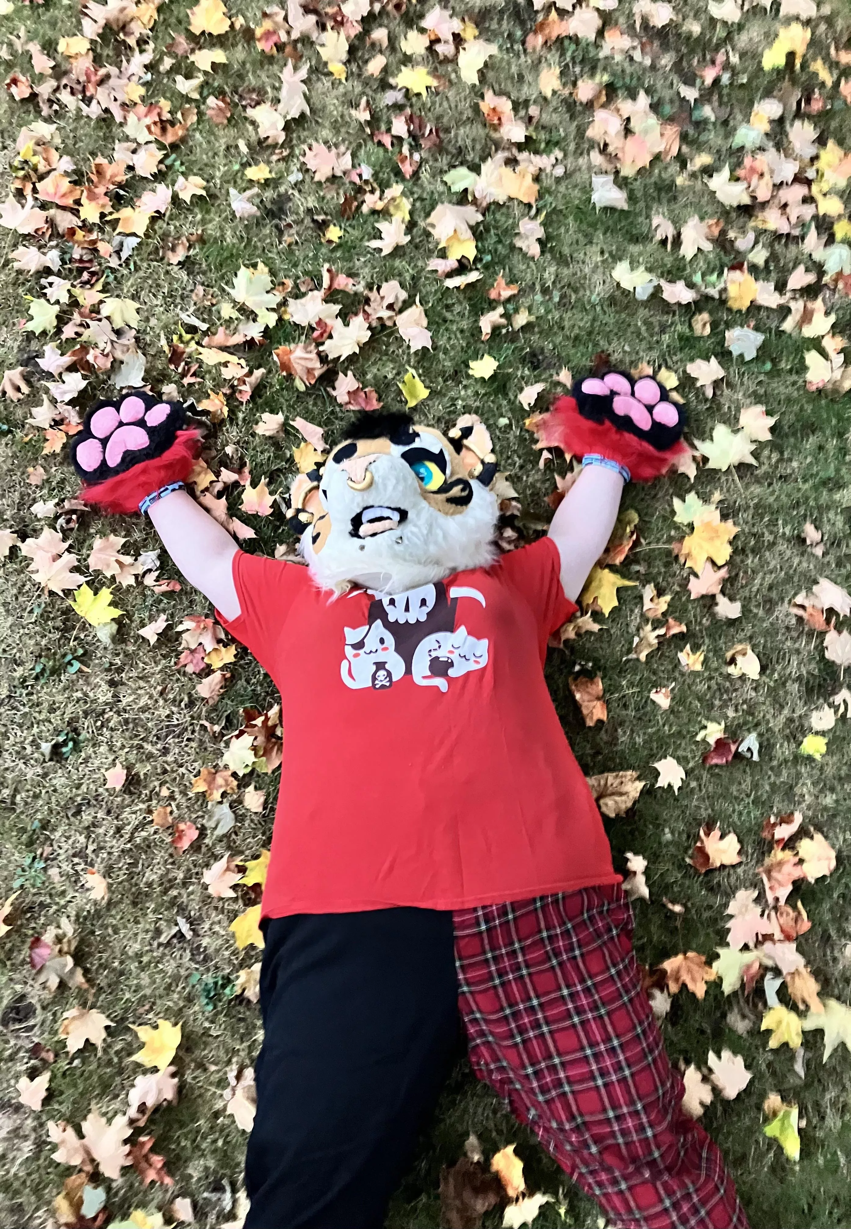 🍁🍂Roll in the leaves! 🍂🍁 Happy fursuit Friday! What’s your favorite thing about fall?