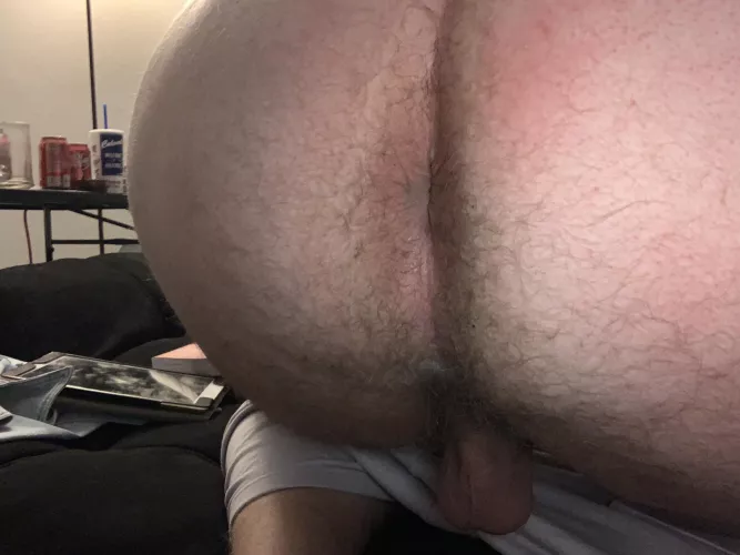 Someone done breed this ass