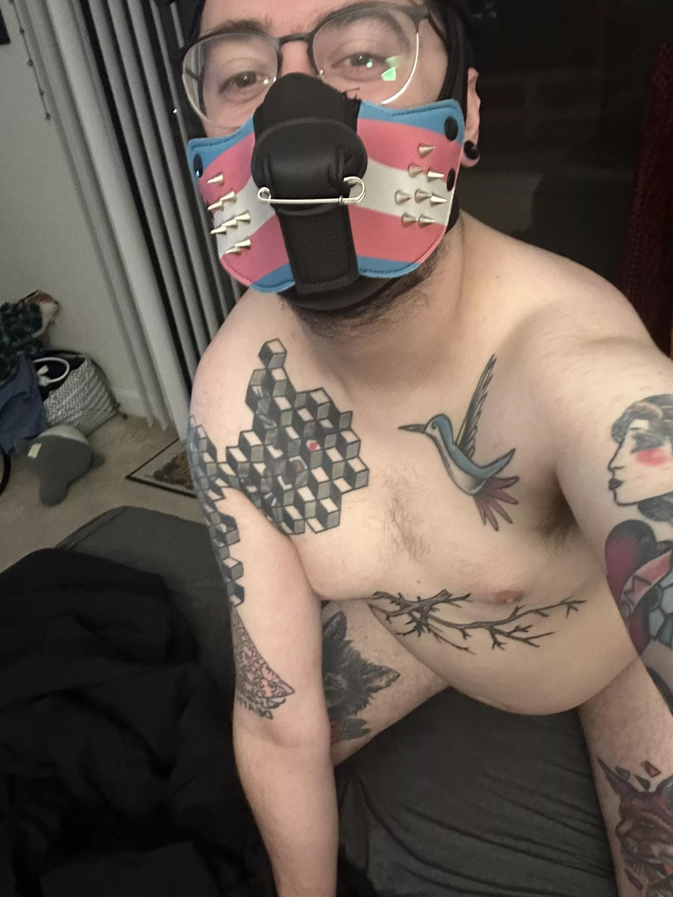 Alternative puppy reporting for duty 😋