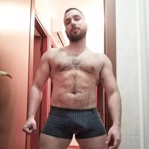 Do I fit the bill to be a bear ?