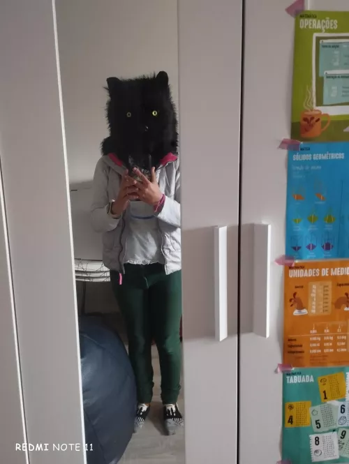 Does this count as a fursuit?