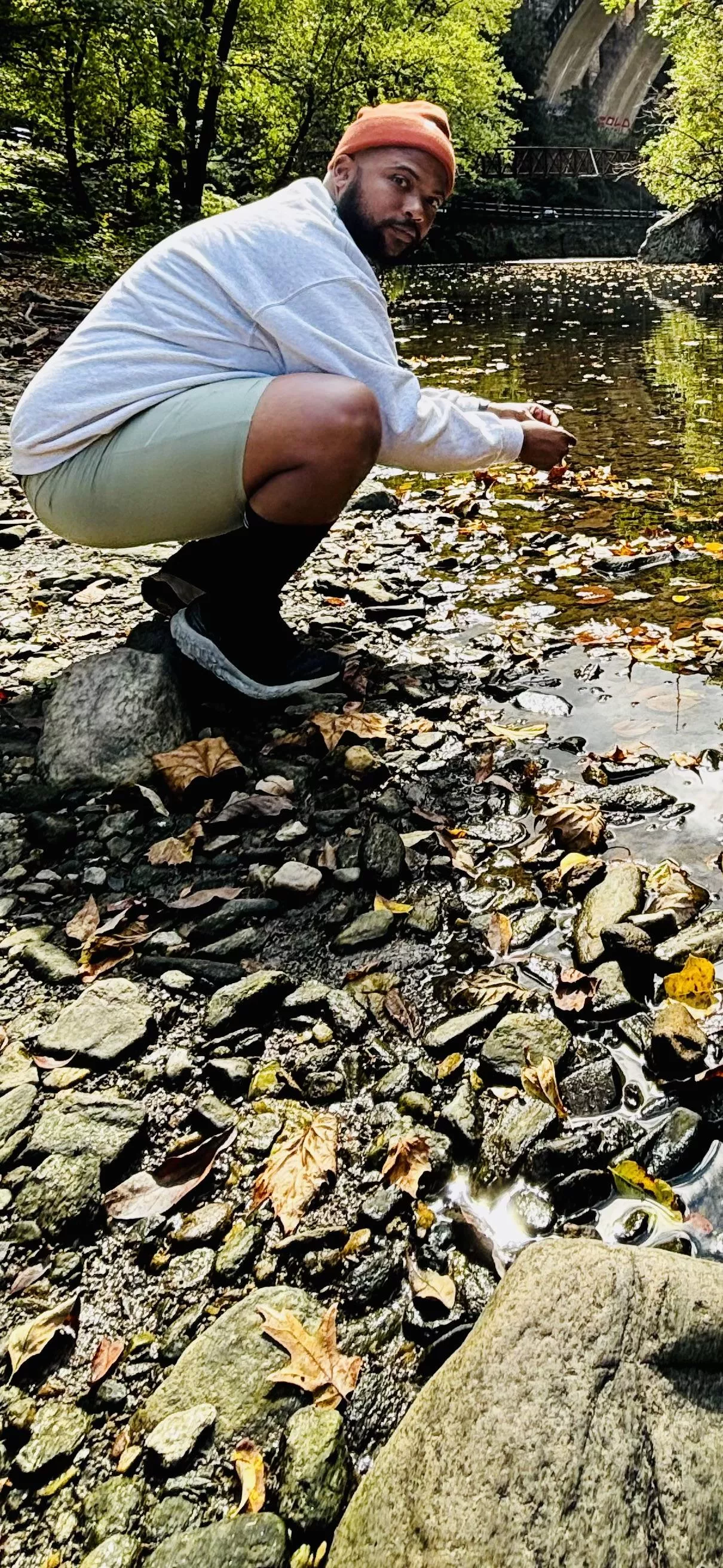 Every leaf tells a story