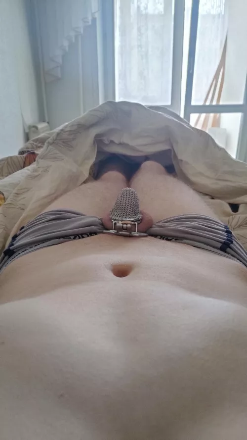 Femboy Knight is on guard for your morning.