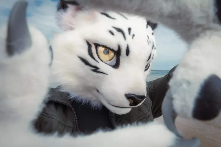 @KureiShyu on Twitter