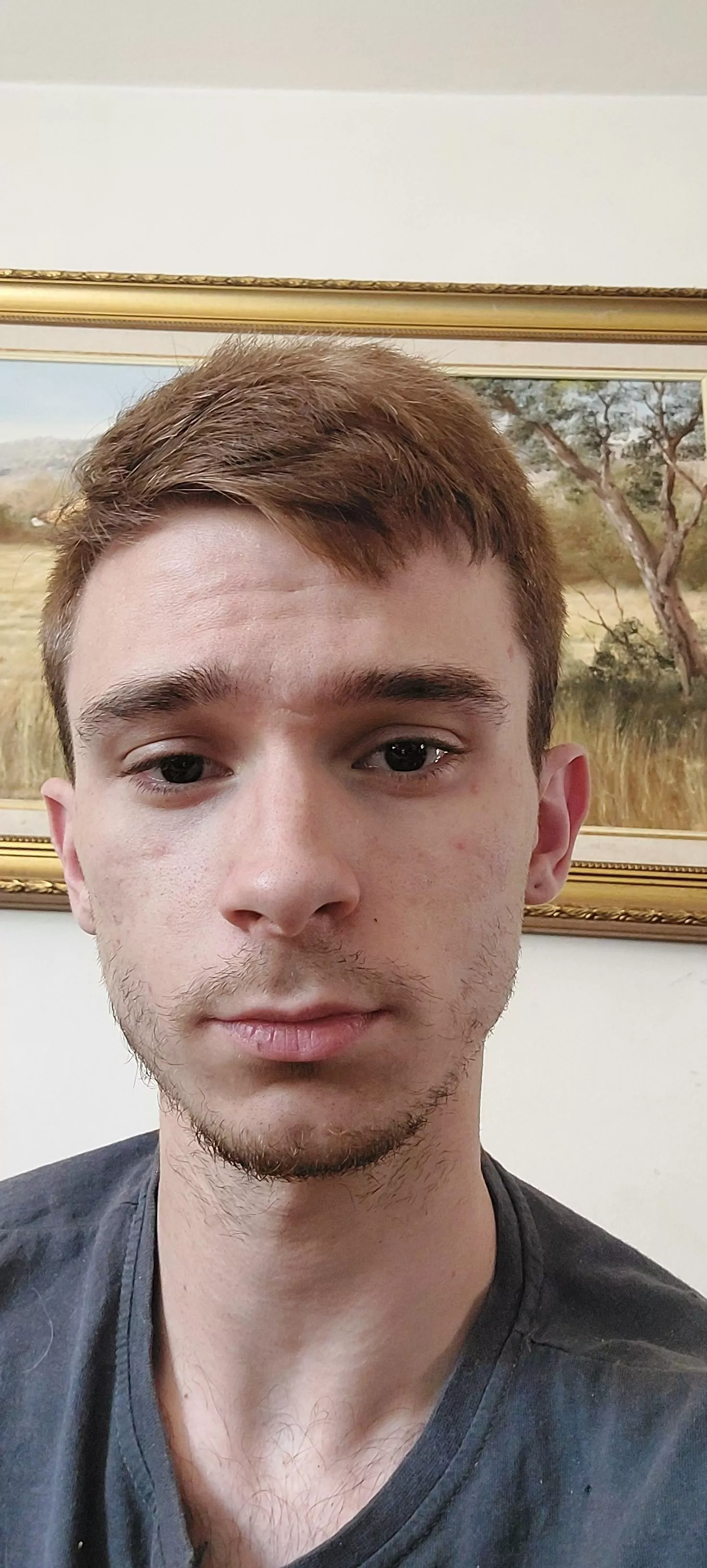 Scruffy lol Scruffy lol