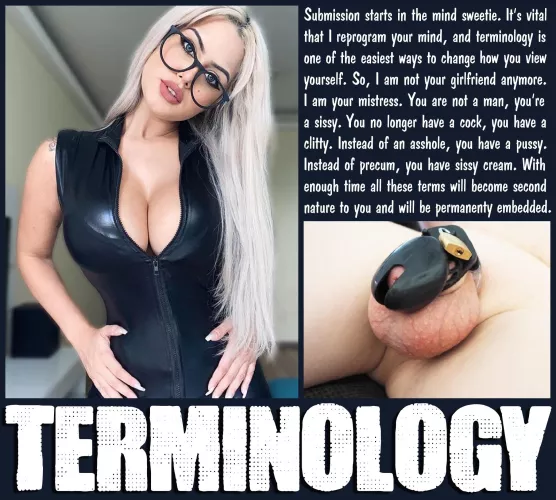 TERMINOLOGY [chastity] [femdom] [sissy]