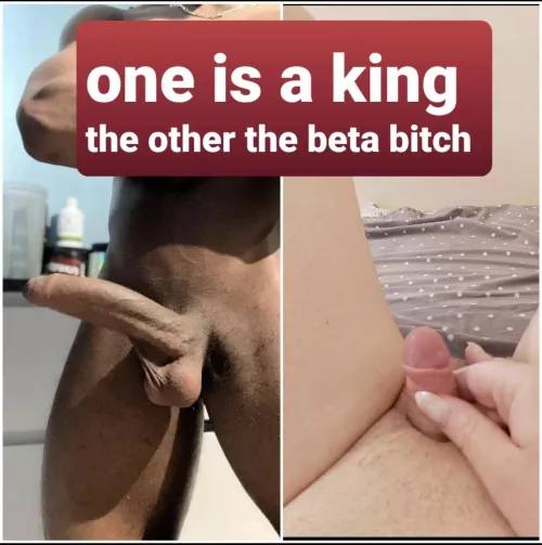 The king rules, the beta serves