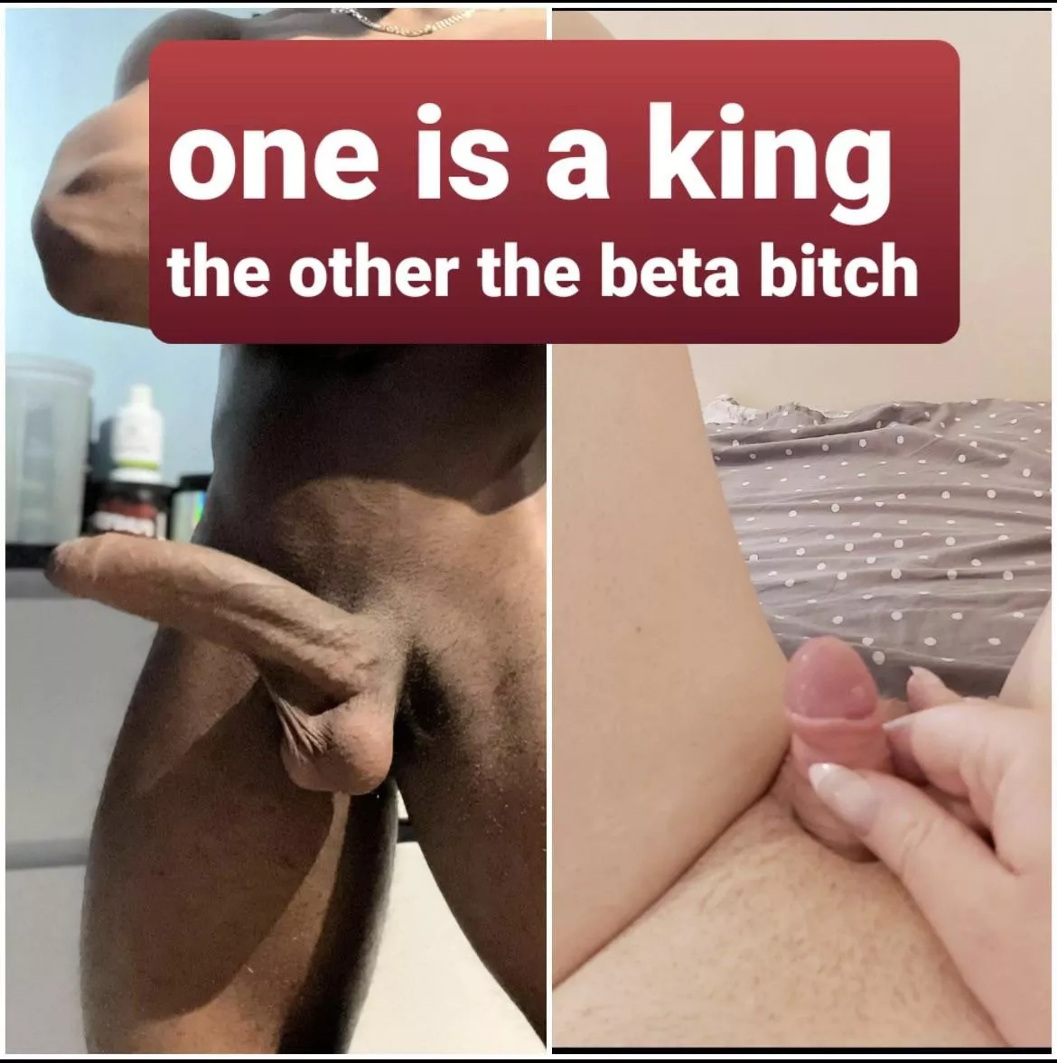 The king rules, the beta serves