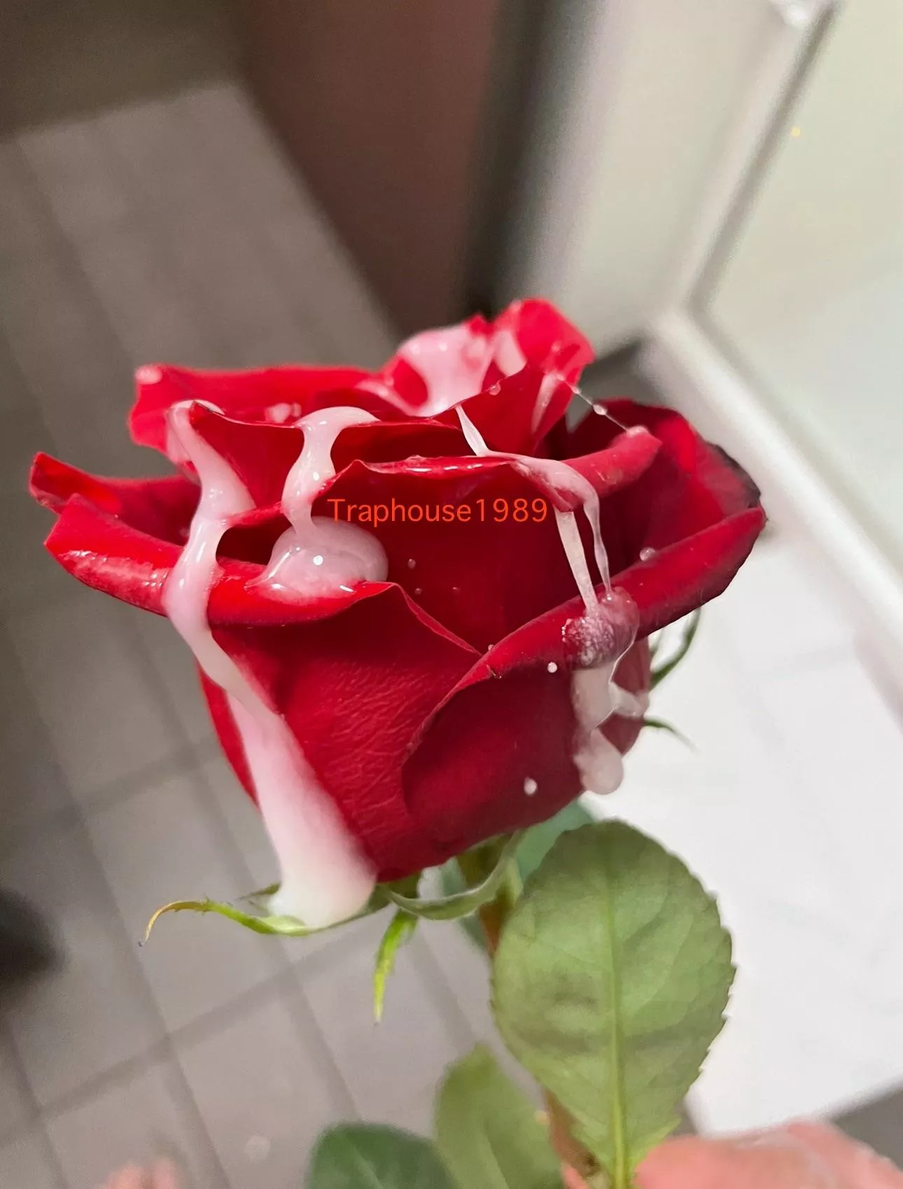 Watered the flower! Is yours next?