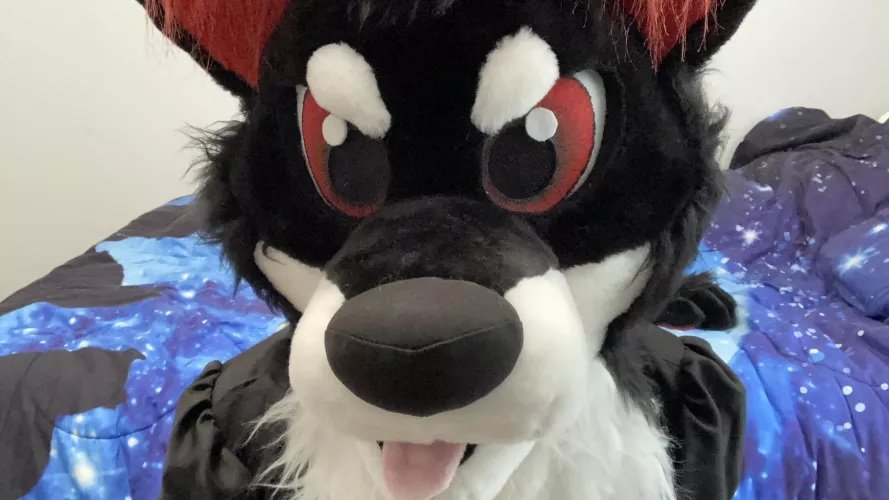 You got any games on your phone?