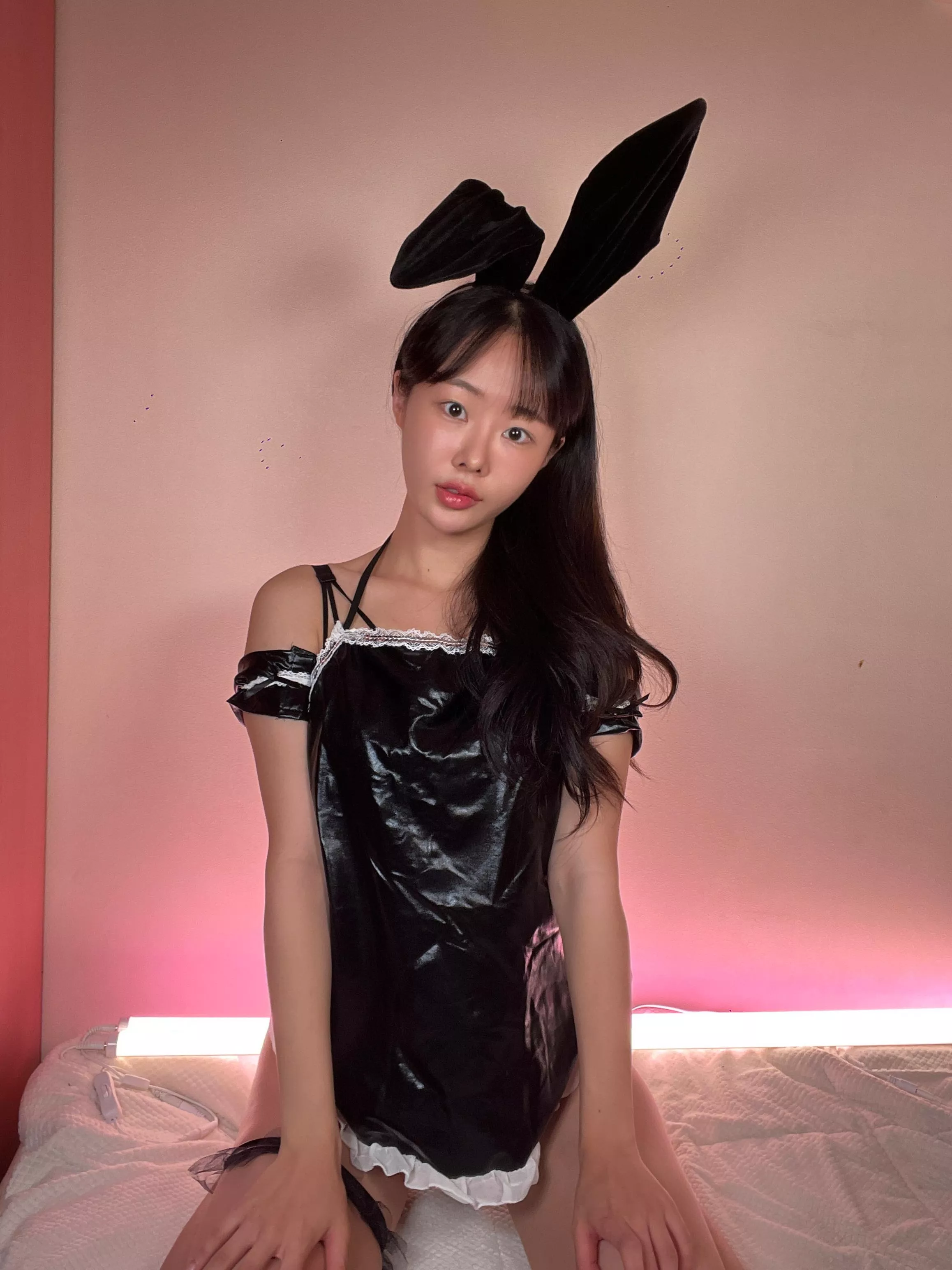 Black little bunny c: