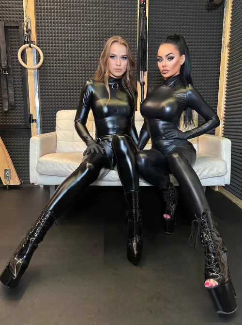 Blondes or brunettes?