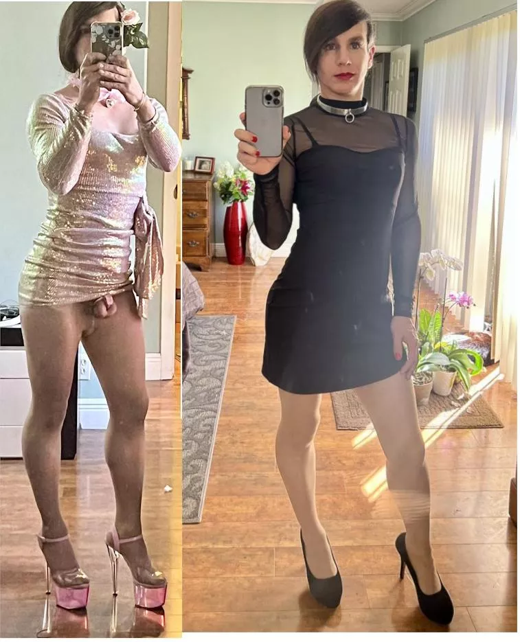 Collared in one Caged in the Other