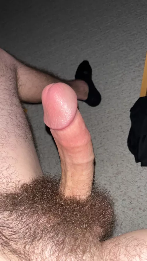 Do you like my hairy Dick and balls?