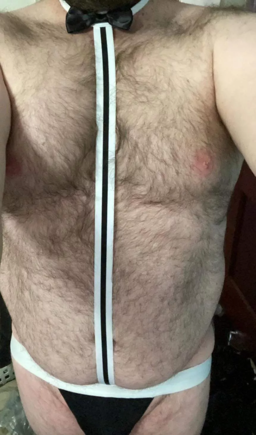 Hello I’m new here so I figured I’d introduce myself.