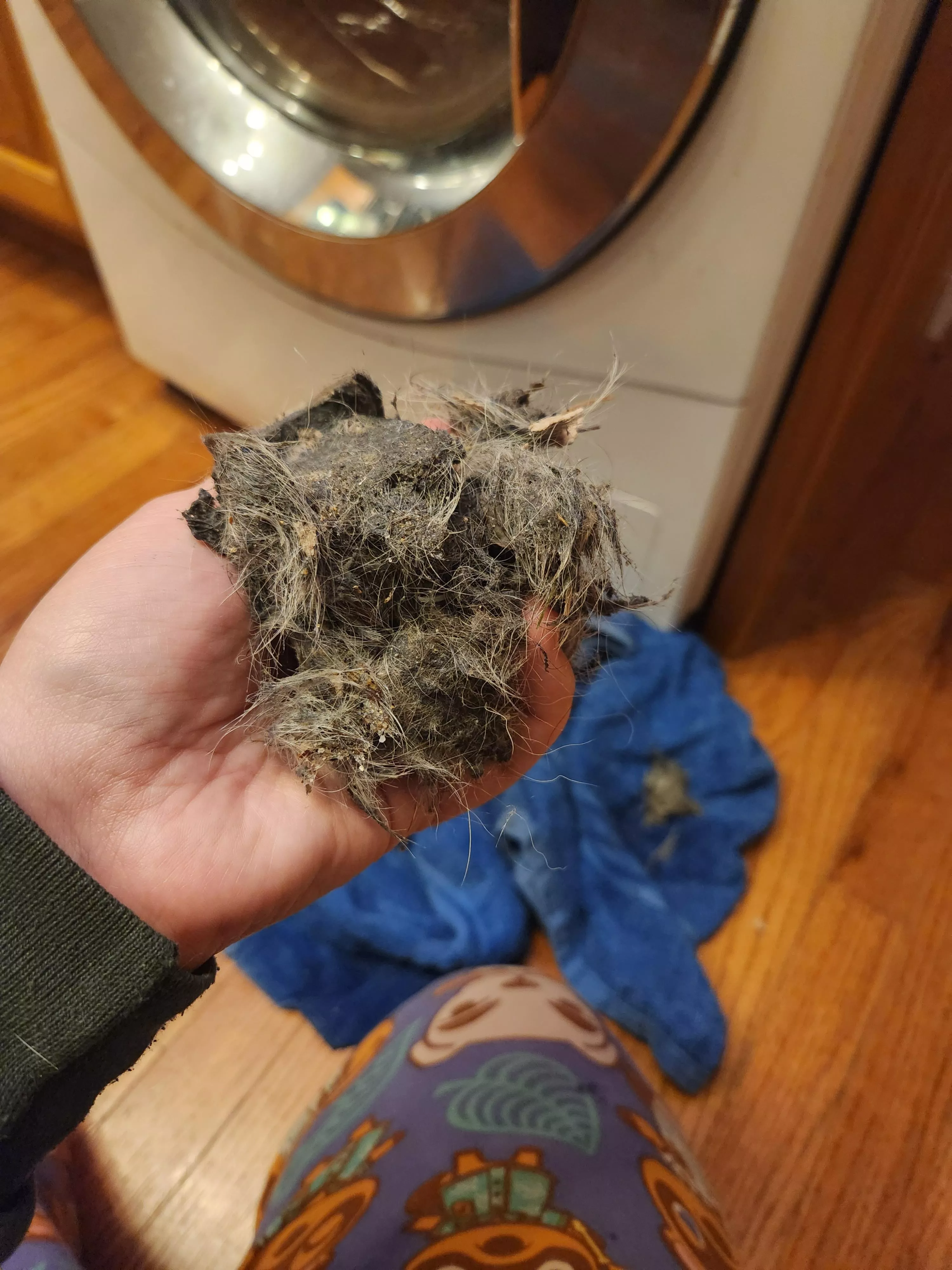 Hey guys, I just pulled this out of my belly button.