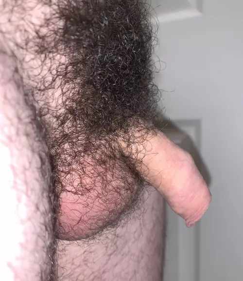 I see your bush and I raise you mine.