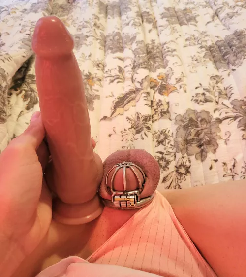 It's obvious why my gf keeps me locked up... 🤏