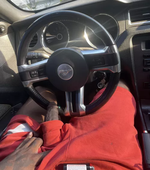 My 3rd leg needs a new lady friend 😕