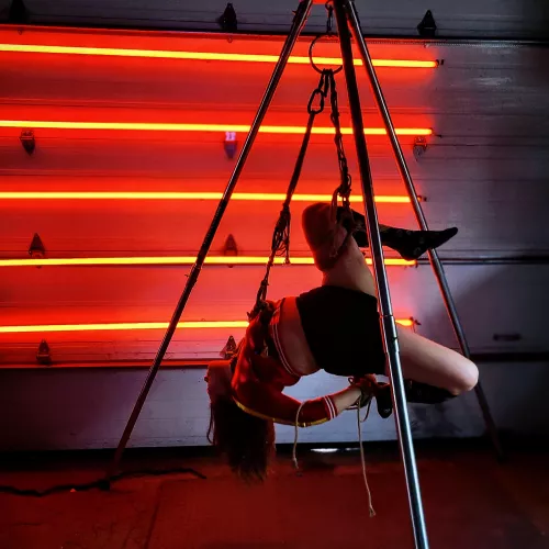 Self suspension from last night's Halloween party