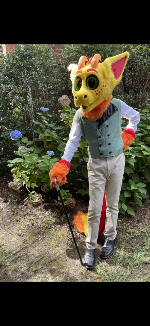 Anyone care to take a stroll?