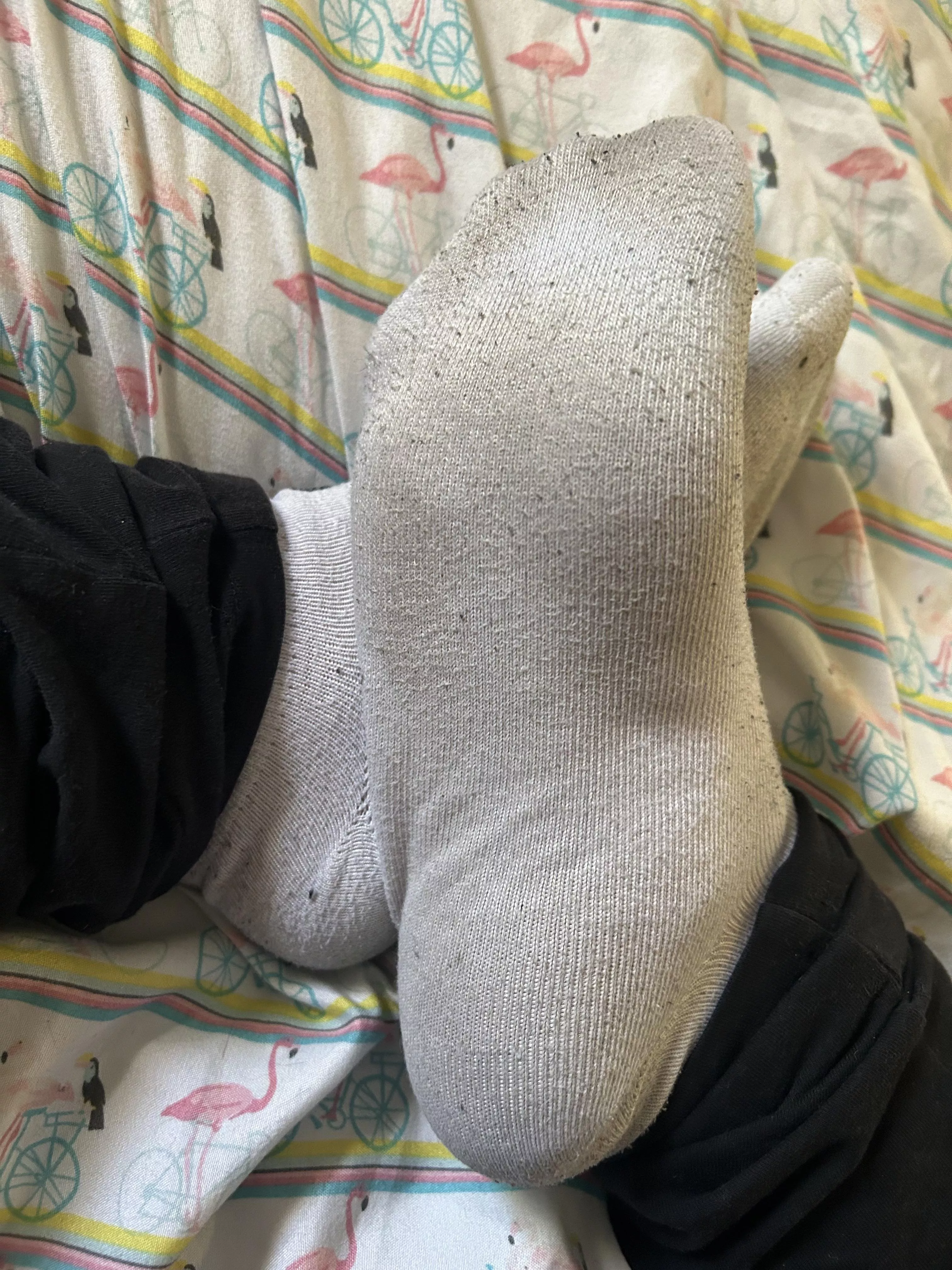 come smell these 🤤