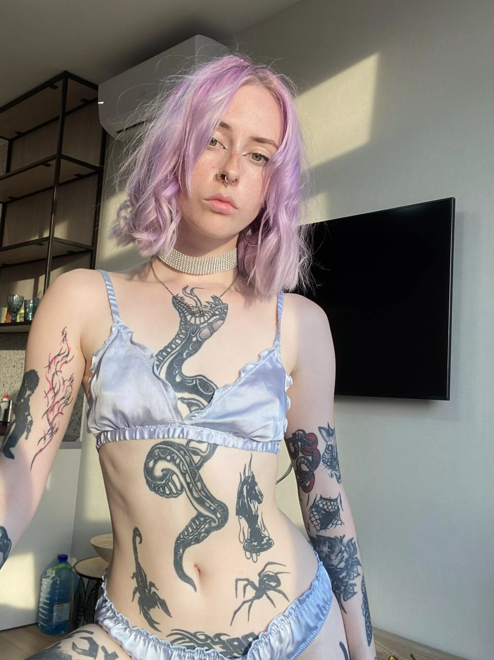 Couch potato or couch playmate?