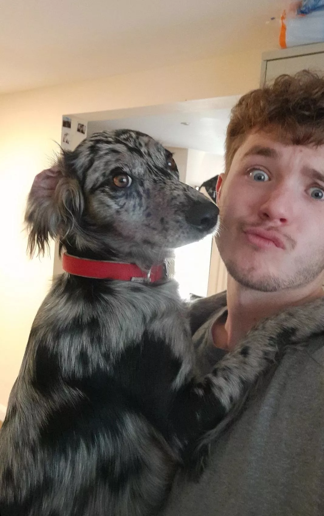 Demanding cuddles as usual Demanding cuddles as usual