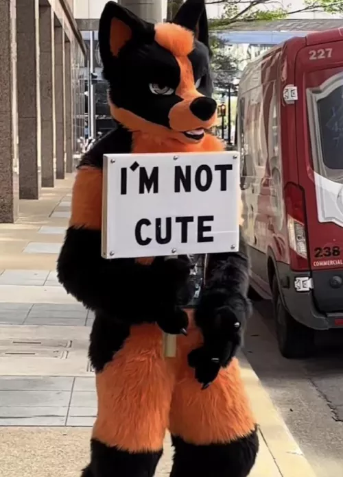 Furry☝️irl