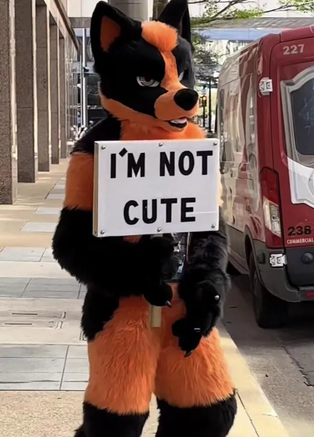 Furry☝️irl
