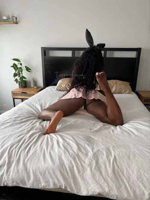 Halloween is on route and this bunny has lots to say…