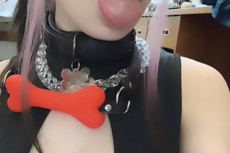 some cute accessories