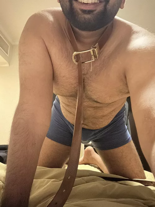 Take me for a walk?