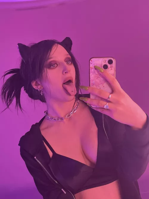 Tell me three things what would you do to this kitty