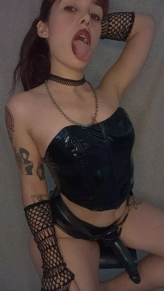 Where do you want it? 🐖